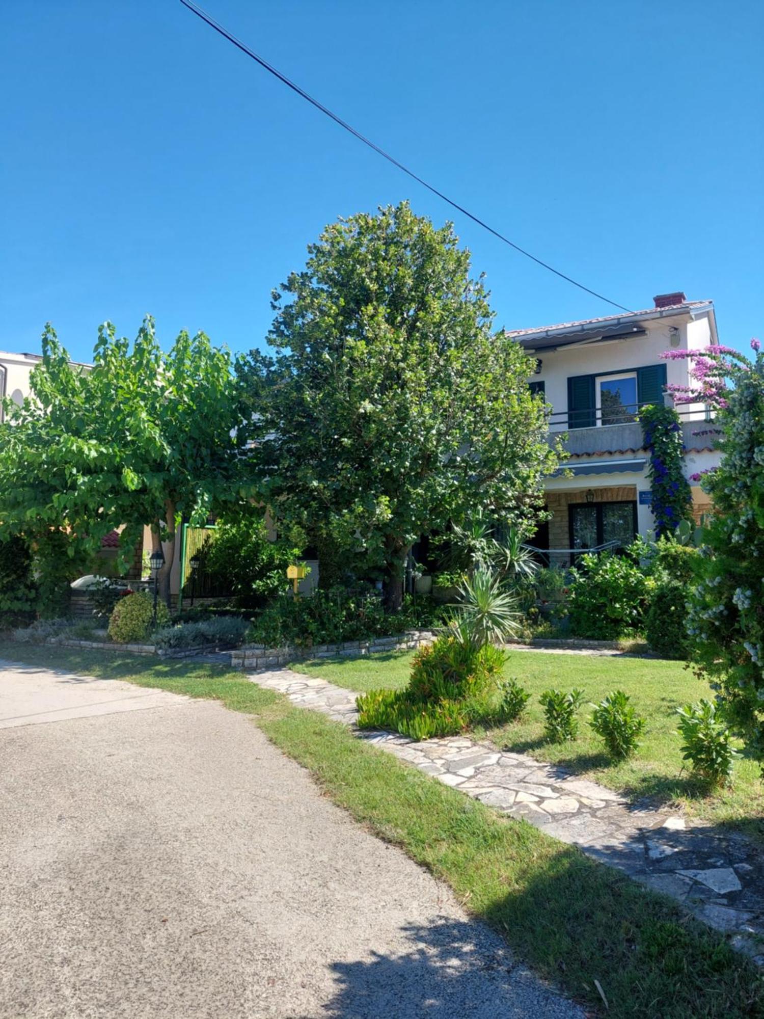 Apartment Roglic 拉布 外观 照片